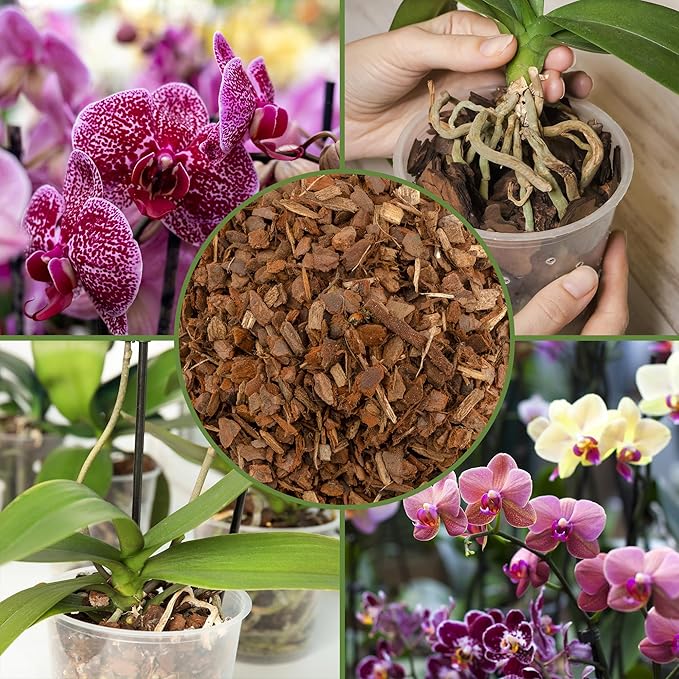 Soil Sunrise 100% Organic Orchid Potting Bark (4 Quarts) All-Natural USA-Sourced Pine Bark Orchid Mix Additive