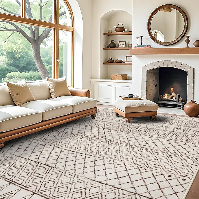 10 x 12 Area Rug