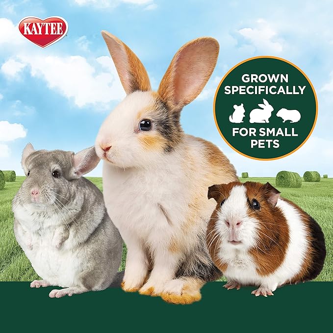 Kaytee Timothy Hay Plus Carrots for Pet Guinea Pigs, Rabbits & Other Small Animals, 24 oz (Pack of 2)