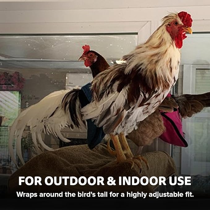 Hen Holster Wrap-Around Bird Diaper & Harness for Hens, Roosters, Ducks, Geese - with Removable Vinyl Liner, Adjustable Fit for Outdoor Adventures & Indoor Use - Easy to wear - XL, Pink