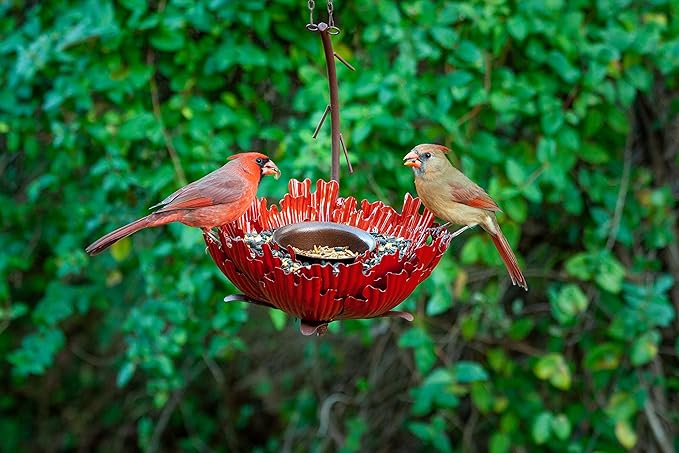 Desert Steel Coral Sunset Peony Hanging Feeder - (Orange - 9”W x 11.5”H) - Loose Seed Metal Birdfeeder