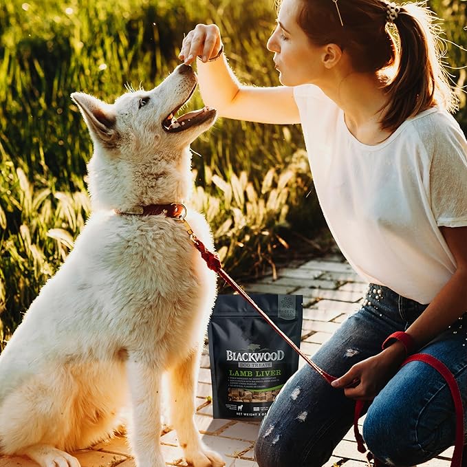 Blackwood Freeze Dried Raw Single Ingredient Dog Treats, 100% Lamb Liver, 3 Ounce Pouch, High Protein, Made in The USA