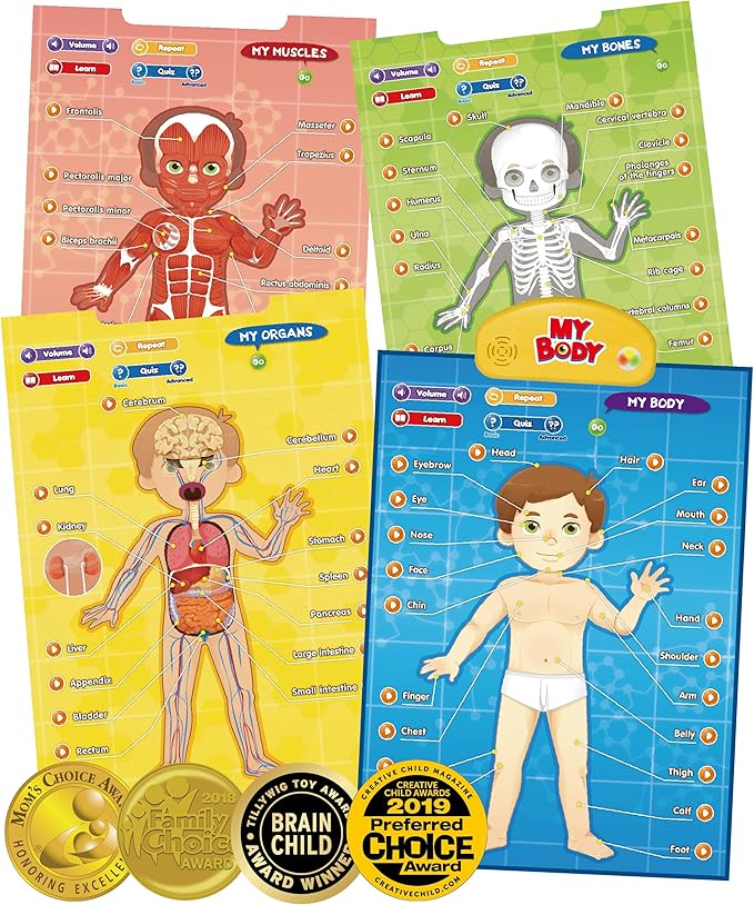 BEST LEARNING i-Poster My Body - Interactive Educational Human Anatomy Talking Game Toy | Learn Body Parts, Organs, Muscles and Bones for Kids Aged 5 to 12 Years Old