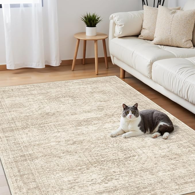 3x5 Rug, Small Area Rug for Kitchen, Machine Washable Non-Slip Throw Rug