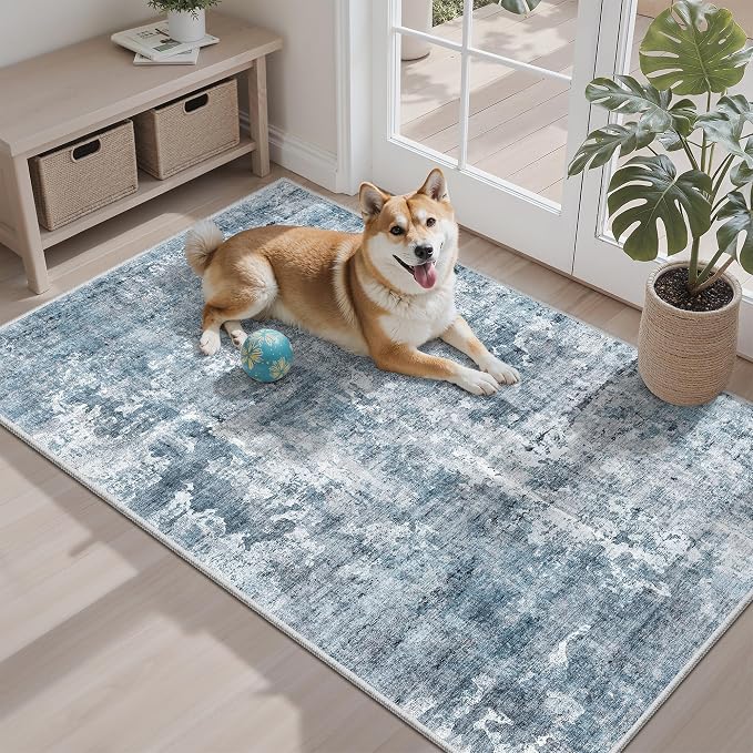 Soalmost 3x4 Rug, Small Area Rug