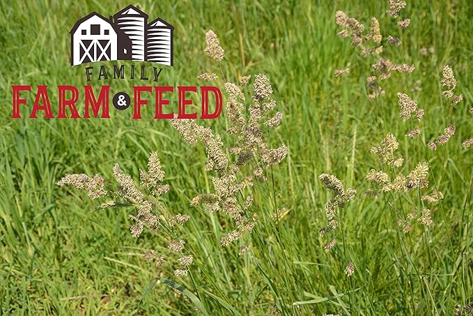 | Timothy Grass Food | Small Pet | Young and Adult | Cubes | 3 Pounds
