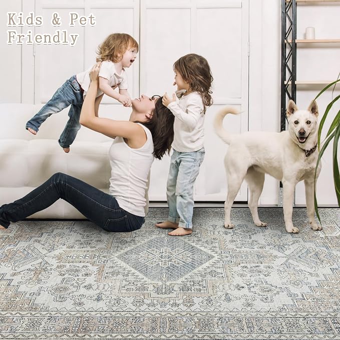 Machine Washable Rugs 6x9 Area Rugs