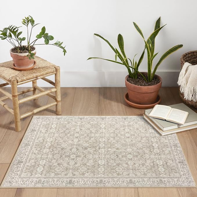 SIILOOM 2x3 Washable Rug Soft Area Rug