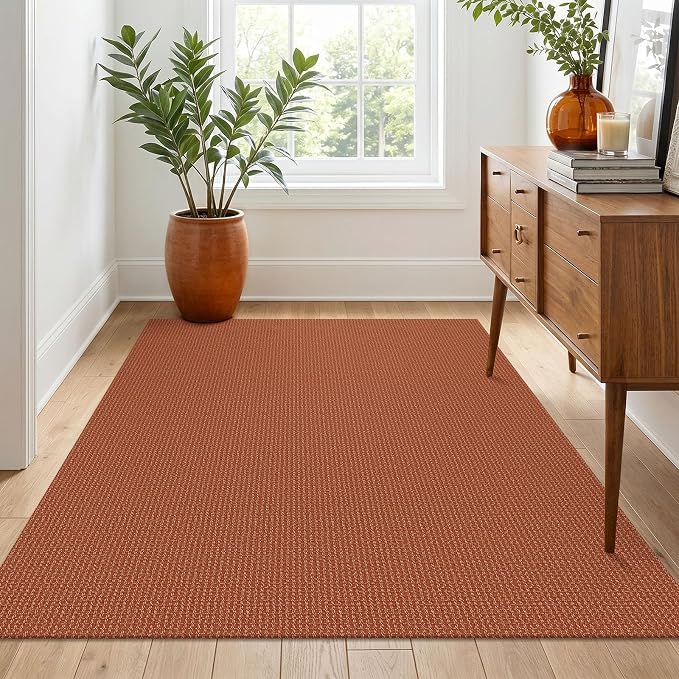 IOHOUZE Washable Area Rug 4x6 Non Slip Rubber Backed Woven Rugs