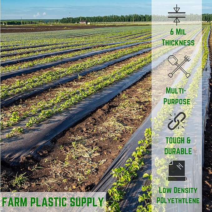 Farm Plastic Supply - Black Plastic Sheeting - 6 mil - (32' x 100') - Black Plastic Tarp, Polyethylene Vapor Barrier Plastic Sheeting, Black Painters Tarp, Roll of Heavy Duty Plastic