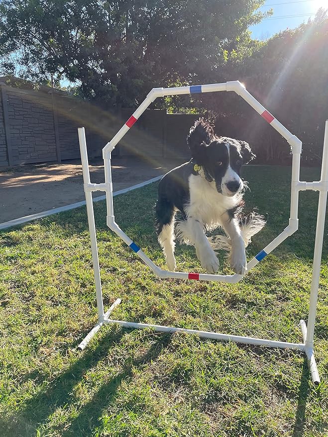 Dog Agility Training Equipment Course Set, Weave Poles, Dog Agility Jump with Dog Agility Jump Cups and Tire Jump