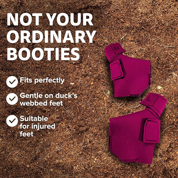 Duck Shoes for Injured Feet – Protective Neoprene Footwear for Ducks, Protective Shoes for Birds with Injured feet, Bumblefoot Relief - Small, 2.5’’ Max. Inside Width - Pink