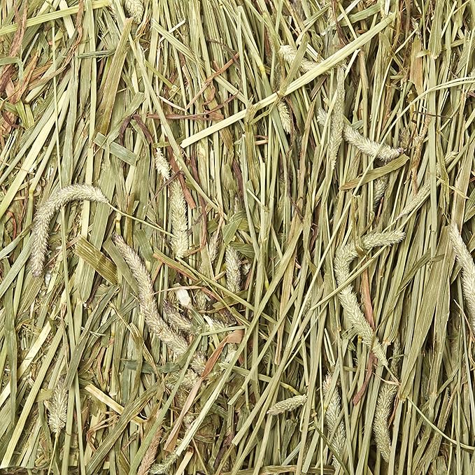 Kaytee Wafer Cut All Natural Timothy Hay for Pet Guinea Pigs, Rabbits & Other Small Animals, 60 Ounce